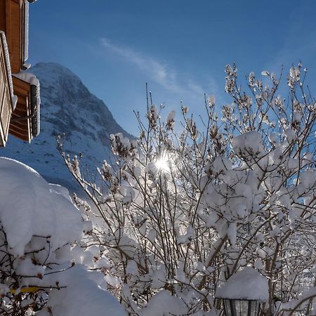 Chalet Alia And Apartments-Grindelwald By Swiss Hotel Apartments Ngoại thất bức ảnh