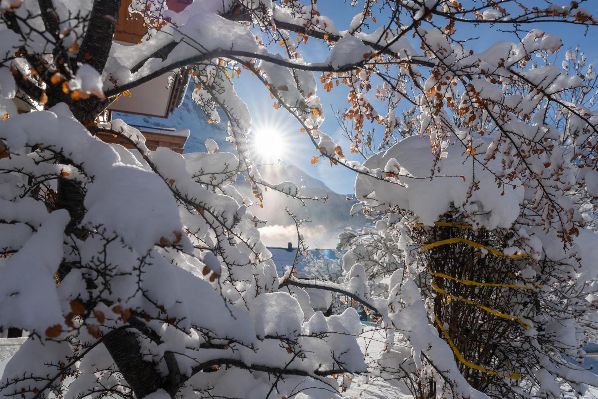 Chalet Alia And Apartments-Grindelwald By Swiss Hotel Apartments Ngoại thất bức ảnh