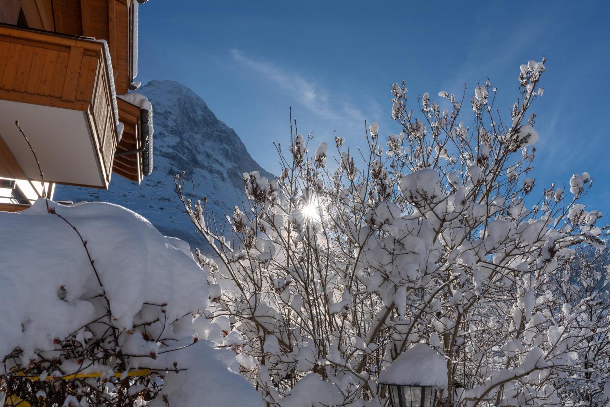 Chalet Alia And Apartments-Grindelwald By Swiss Hotel Apartments Ngoại thất bức ảnh