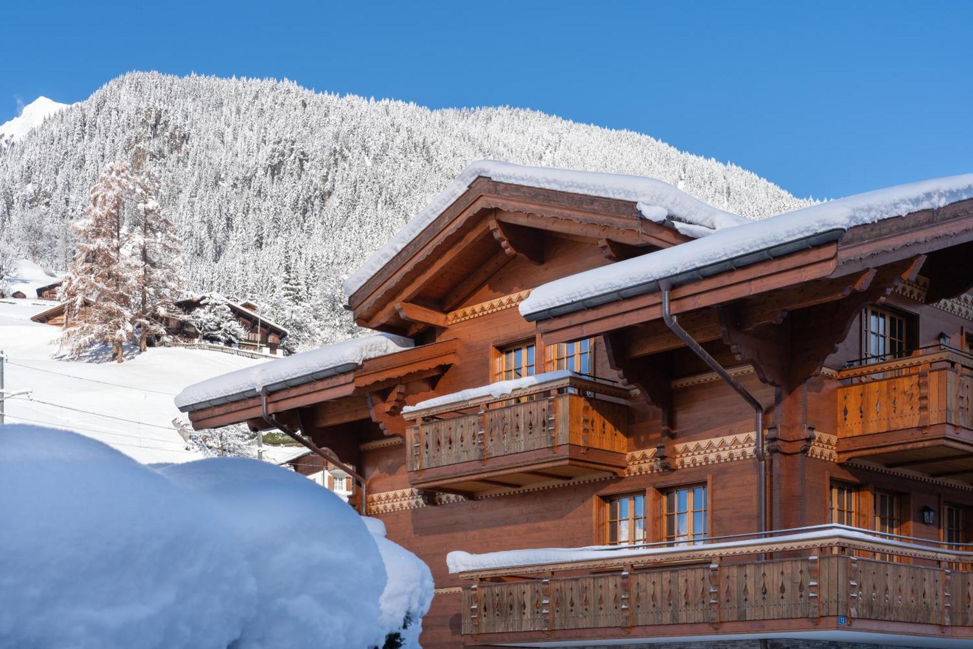Chalet Alia And Apartments-Grindelwald By Swiss Hotel Apartments Ngoại thất bức ảnh