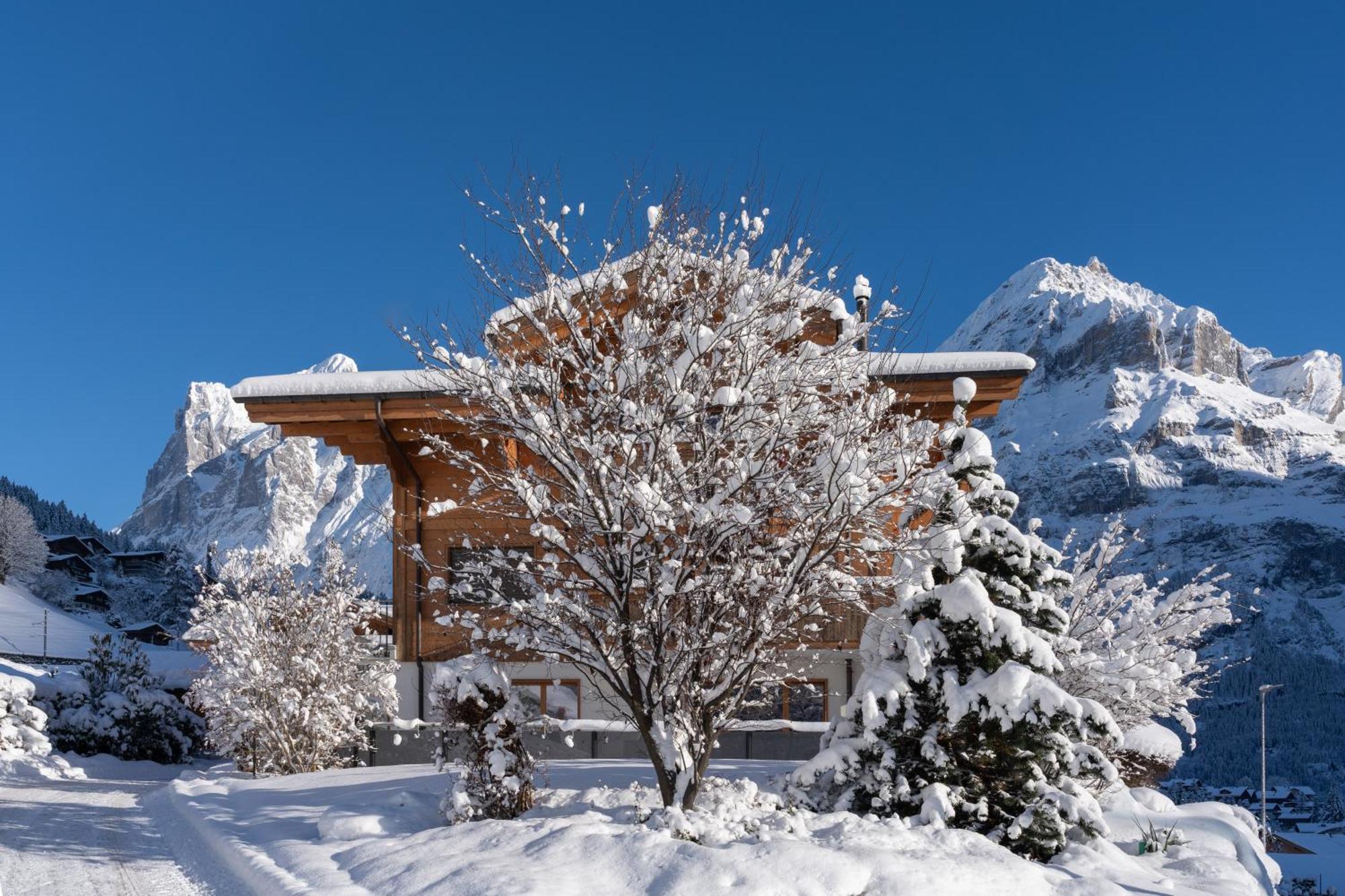 Chalet Alia And Apartments-Grindelwald By Swiss Hotel Apartments Ngoại thất bức ảnh