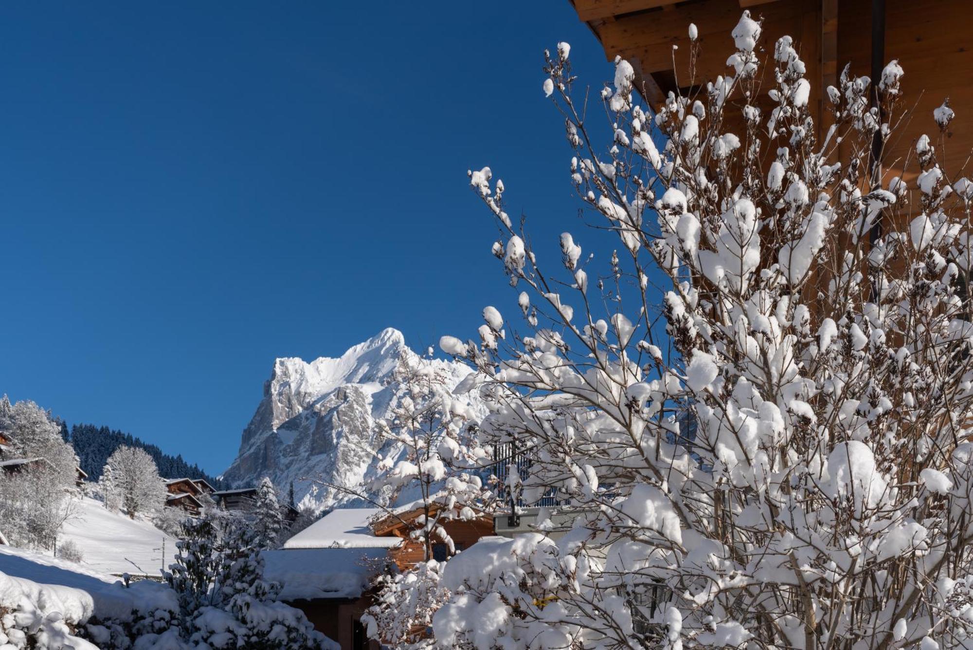 Chalet Alia And Apartments-Grindelwald By Swiss Hotel Apartments Ngoại thất bức ảnh